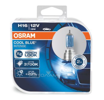 H16 12V- 19W (PGJ19-3) (����� ����� ����-�����.�����.) Cool Blue Intense (2��) DuoBox 64219CBI-HCB
